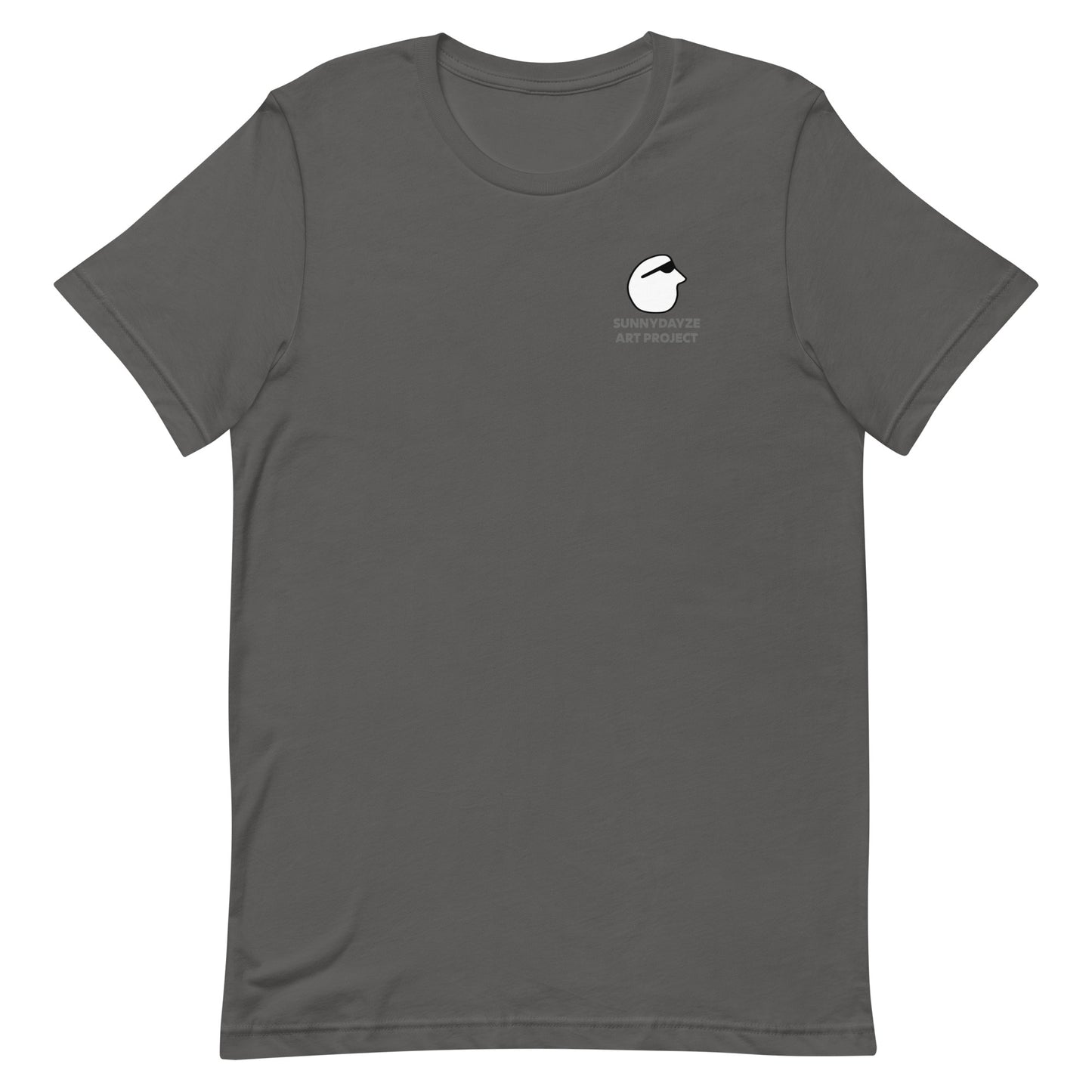 AN ALTERNATIVE PERSPECTIVE (Front & Back Print)